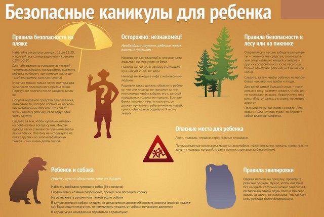 foto 2025 07 03 11 16 004